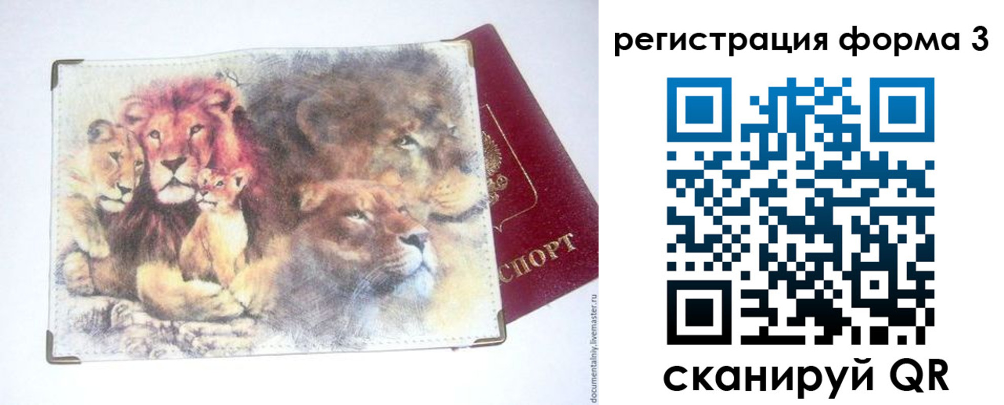 прописка в квартире в Дубне